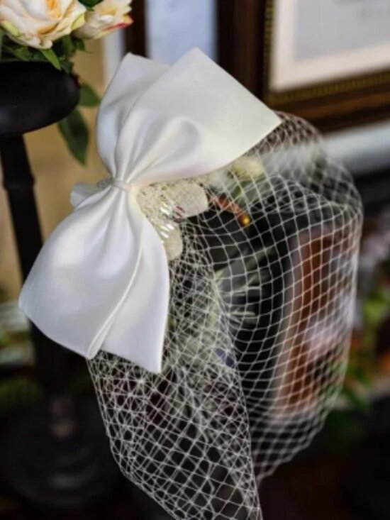 Wedding Veil French Netting Birdcage Headband